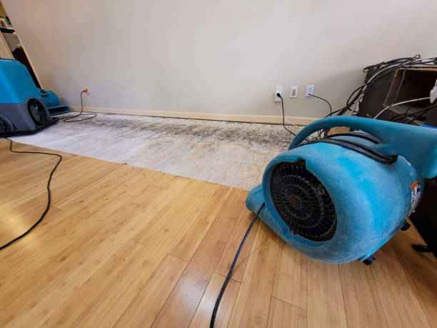 Professional Basement Flood Cleanup technician working in Huron, TN